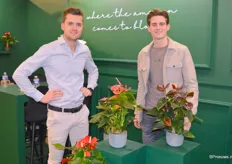 Bas en Marlo van Zuil van anthuriumkwekerij Amazone Plant.